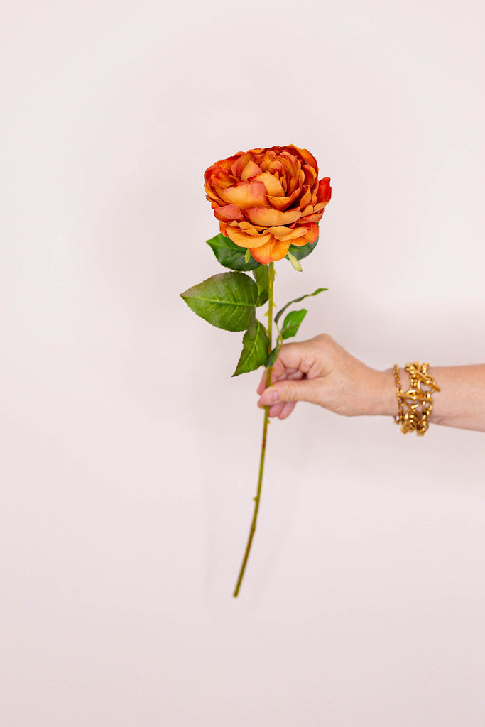 Rose - Burnt Orange