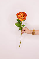 Rose - Burnt Orange