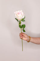 Rose ruffled Mabel – Pink
