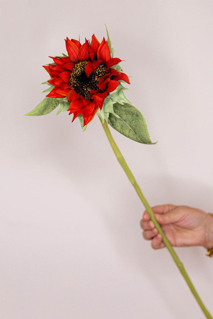 Sunflower - Russet