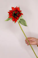 Sunflower - Russet
