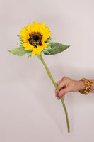Sunflower - Yellow