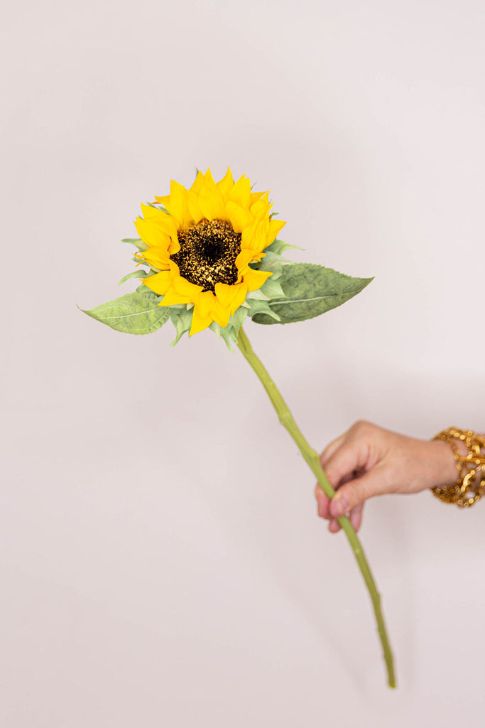 Sunflower - Yellow