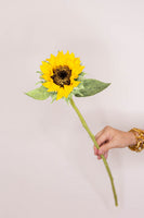 Sunflower - Yellow